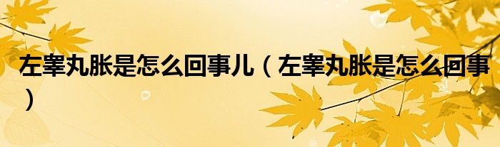 左睪丸脹是怎么回事兒（左睪丸脹是怎么回事）