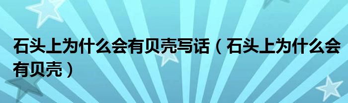 石頭上為什么會(huì)有貝殼寫話（石頭上為什么會(huì)有貝殼）