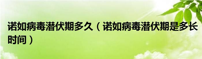 諾如病毒潛伏期多久（諾如病毒潛伏期是多長時間）
