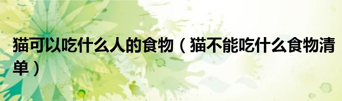 貓可以吃什么人的食物（貓不能吃什么食物清單）