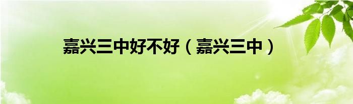 嘉興三中好不好（嘉興三中）
