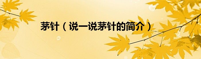 茅針（說一說茅針的簡(jiǎn)介）