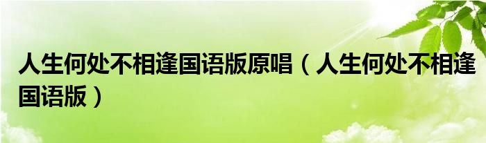 人生何處不相逢國語版原唱（人生何處不相逢國語版）