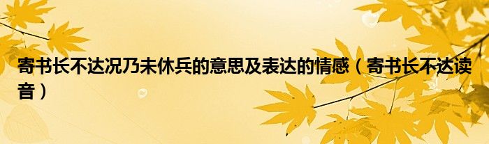 寄書長不達況乃未休兵的意思及表達的情感（寄書長不達讀音）