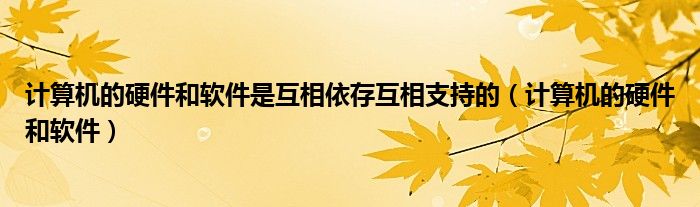計(jì)算機(jī)的硬件和軟件是互相依存互相支持的（計(jì)算機(jī)的硬件和軟件）
