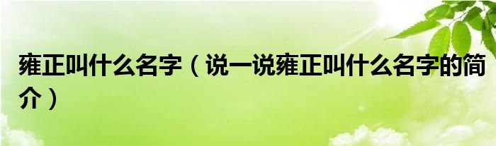 雍正叫什么名字（說一說雍正叫什么名字的簡(jiǎn)介）
