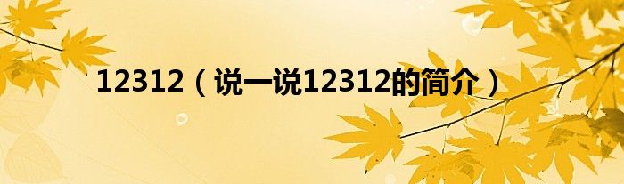 12312（說一說12312的簡介）