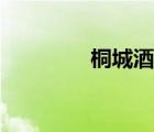 桐城酒店預(yù)訂（桐城酒店）