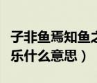 子非魚焉知魚之樂什么意思（子非魚安知魚之樂什么意思）