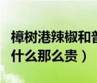 樟樹(shù)港辣椒和普通辣椒的區(qū)別（樟樹(shù)港辣椒為什么那么貴）