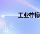 工業(yè)檸檬酸價格（工業(yè)檸檬酸）