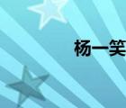 楊一笑傳拼音（楊一笑傳）