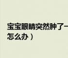 寶寶眼睛突然腫了一只起了個(gè)疙瘩（寶寶眼睛突然腫了一只怎么辦）