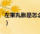 左睪丸脹是怎么回事兒（左睪丸脹是怎么回事）