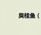 臭桂魚(yú)（說(shuō)一說(shuō)臭桂魚(yú)的簡(jiǎn)介）