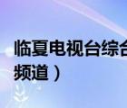 臨夏電視臺綜合頻道直播（臨夏州電視臺綜合頻道）