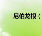 尼伯龍根（說一說尼伯龍根的簡介）