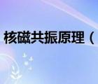核磁共振原理（說一說核磁共振原理的簡介）