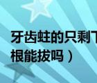 牙齒蛀的只剩下牙根了好拔么（蛀牙只剩下牙根能拔嗎）