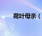 荷葉母親（說一說荷葉母親的簡(jiǎn)介）