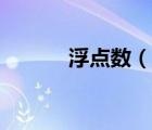 浮點數(shù)（說一說浮點數(shù)的簡介）