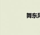 舞東風(fēng)供應(yīng)商（舞東風(fēng)）