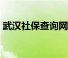 武漢社保查詢網(wǎng)站（武漢社保網(wǎng)上查詢系統(tǒng)）