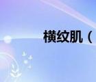 橫紋?。ㄕf一說橫紋肌的簡介）