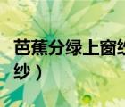 芭蕉分綠上窗紗打一最佳生肖（芭蕉分綠上窗紗）