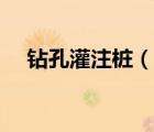 鉆孔灌注樁（說(shuō)一說(shuō)鉆孔灌注樁的簡(jiǎn)介）