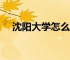 沈陽大學(xué)怎么樣知乎（沈陽大學(xué)怎么樣）
