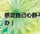 感覺(jué)自己心靜不下來(lái)怎么辦（心靜不下來(lái)怎么辦）