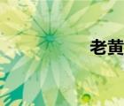 老黃牛歌曲（老黃牛）