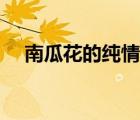 南瓜花的純情百度網(wǎng)盤（南瓜花的純情）