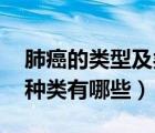 肺癌的類型及類型特點（肺癌的分類 肺癌的種類有哪些）