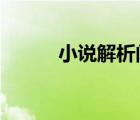 小說解析閱讀器（vip小說解析）