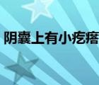 陰囊上有小疙瘩不疼不癢（陰囊上有小疙瘩）