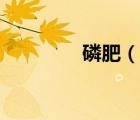 磷肥（說一說磷肥的簡介）