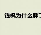 錢(qián)楓為什么胖了（錢(qián)楓為什么胖了那么多）