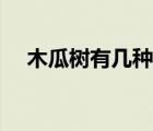木瓜樹有幾種品種圖片（木瓜樹有幾種）