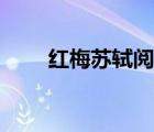 紅梅蘇軾閱讀答案解析（紅梅蘇軾）