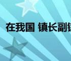 在我國 鎮(zhèn)長副鎮(zhèn)長由縣級人大選舉和罷免()