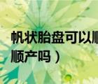 帆狀胎盤可以順產(chǎn)嗎有危險嗎（帆狀胎盤可以順產(chǎn)嗎）