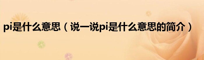 pi是什么意思（說(shuō)一說(shuō)pi是什么意思的簡(jiǎn)介）