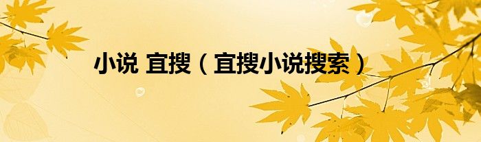 小說 宜搜（宜搜小說搜索）