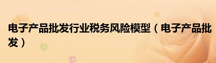 電子產(chǎn)品批發(fā)行業(yè)稅務(wù)風(fēng)險(xiǎn)模型（電子產(chǎn)品批發(fā)）