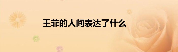 王菲的人間表達了什么