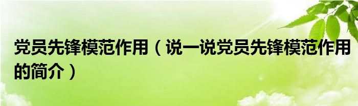 黨員先鋒模范作用（說一說黨員先鋒模范作用的簡介）