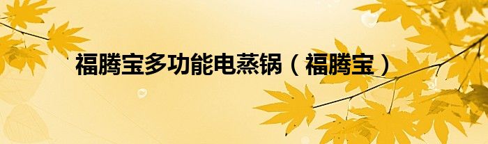 福騰寶多功能電蒸鍋（福騰寶）