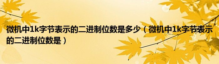 微機中1k字節(jié)表示的二進制位數(shù)是多少（微機中1k字節(jié)表示的二進制位數(shù)是）